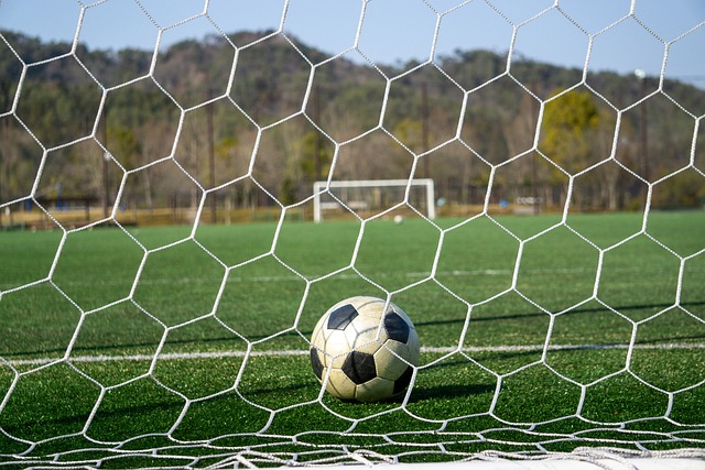 士队表现出 士队表现出