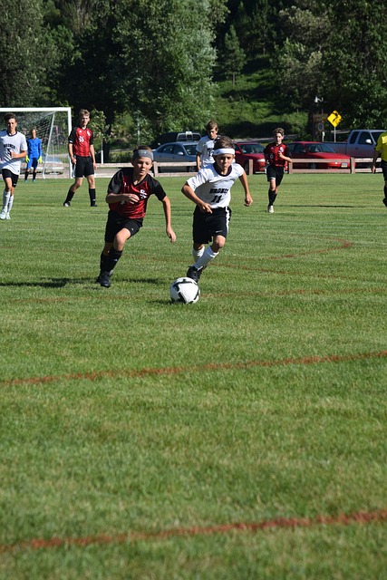 乐部流动资 乐部流动资