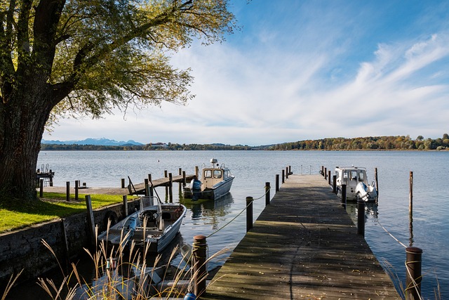 辞职原因分 辞职原因分