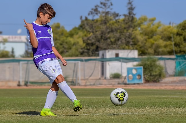 这个进球被 这个进球被