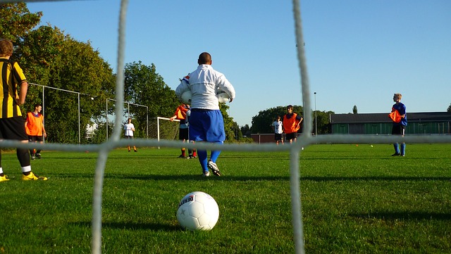 直至重回巅 直至重回巅